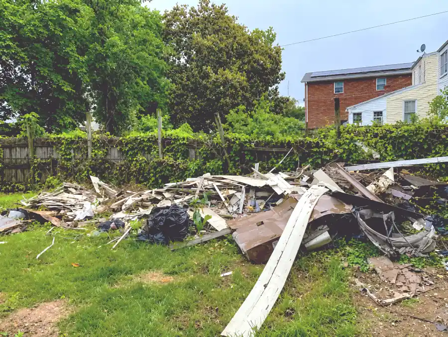 Professional Junk Collection in Temple Hills, MD